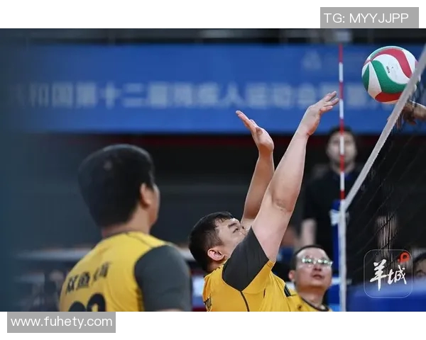 成都排球队的力量变革引发热议展现新风貌与未来潜力